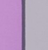 Purple-Grey